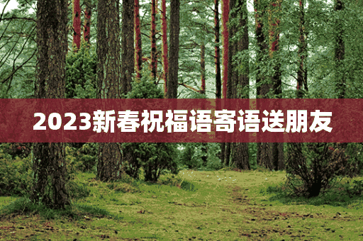 2023新春祝福语寄语送朋友(2023新春祝福语寄语送朋友怎么写)